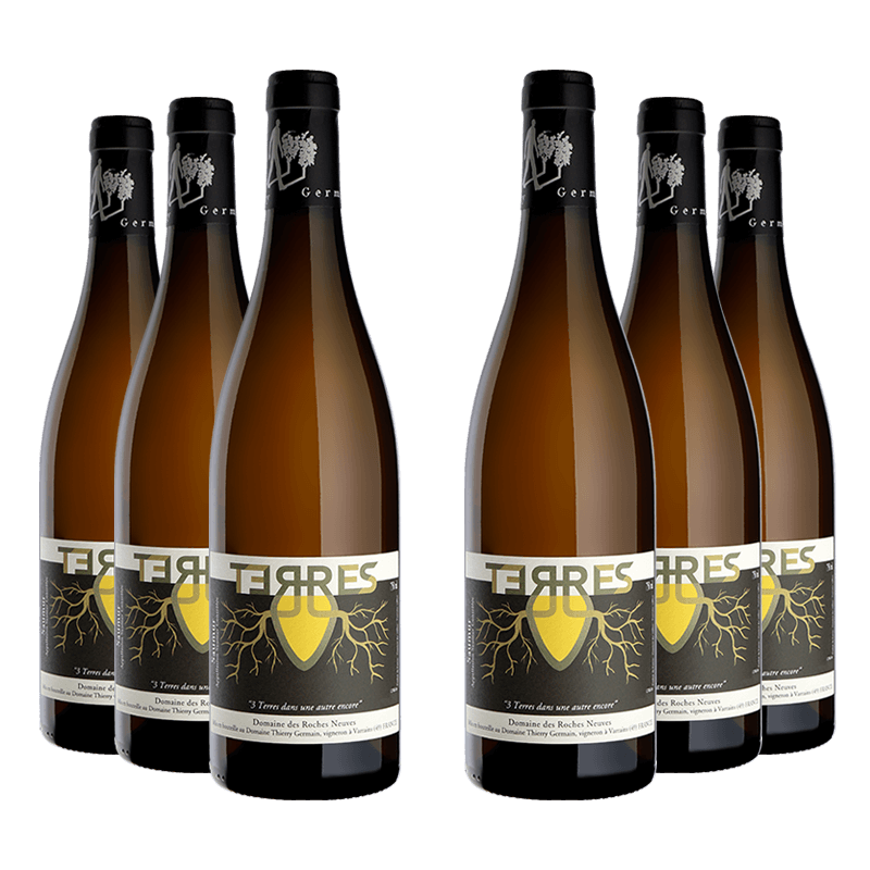 Thierry Germain - Domaine des Roches Neuves : Terres 2019 Thierry Germain - Domaine des Roches Neuves : Terres 2019 von Thierry Germain - Domaine des Roches Neuves