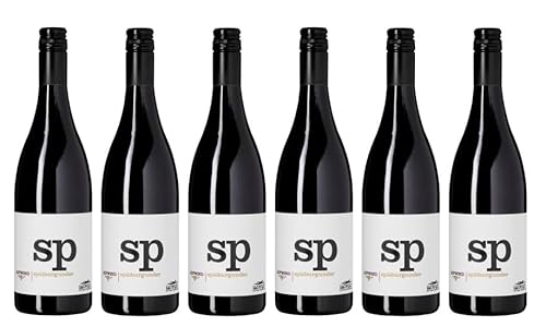 6x 0,75l - 2022er - Thomas Hensel - Aufwind - Spätburgunder - Qualitätswein Pfalz - Deutschland - Rotwein trocken von Thomas Hensel