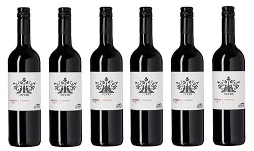 6x 0,75l - Thomas Hensel - Aufwind - Cuvée - Rotwein - Qualitätswein Pfalz - Deutschland - Rotwein trocken von Thomas Hensel