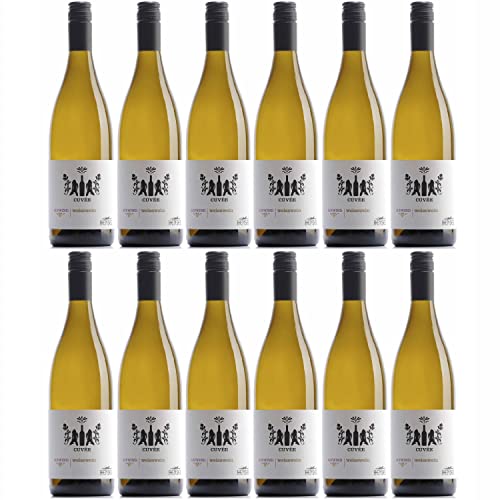 Thomas Hensel Aufwind Cuvée Blanc Weißwein Wein Trocken Pfalz Deutschland I Visando Paket (12 x 0,75l) von Thomas Hensel