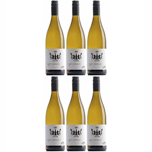 Thomas Hensel Aufwind Cuvée Blanc Weißwein Wein Trocken Pfalz Deutschland I Visando Paket (6 x 0,75l) von Thomas Hensel