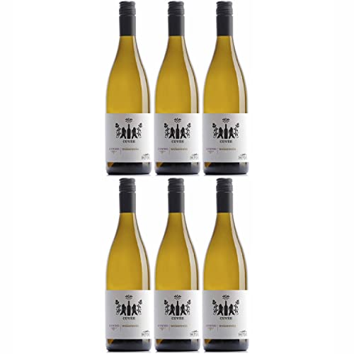 Thomas Hensel Aufwind Cuvée Blanc Weißwein Wein Trocken Pfalz Deutschland I Visando Paket (6 x 0,75l) von Thomas Hensel