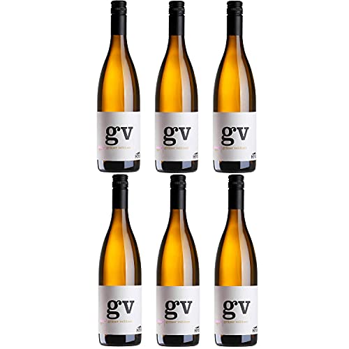 Thomas Hensel Aufwind Grüner Veltliner Weißwein Wein trocken Deutschland (6 Flaschen) von Thomas Hensel