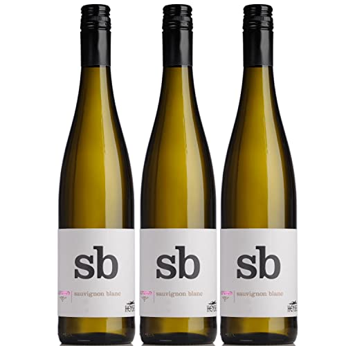 Thomas Hensel Aufwind Sauvignon Blanc Weißwein Wein Trocken Pfalz Deutschland I Visando Paket (3 x 0,75l) von Thomas Hensel