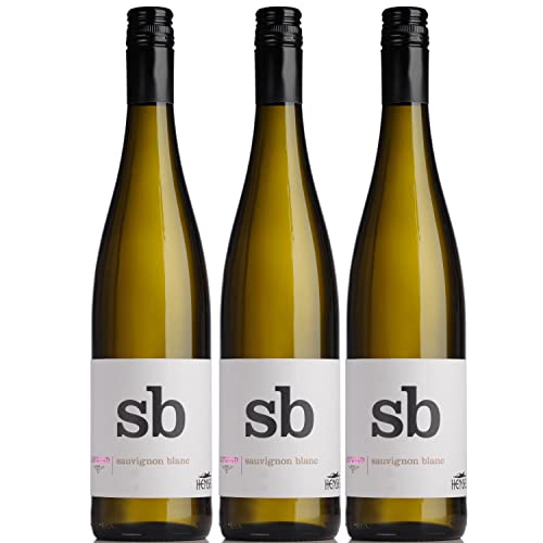 Thomas Hensel Aufwind Sauvignon Blanc Weißwein Wein Trocken Pfalz Deutschland I Visando Paket (3 x 0,75l) von Thomas Hensel