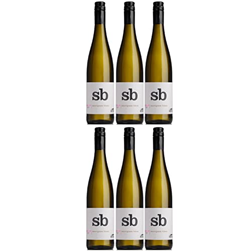 Thomas Hensel Aufwind Sauvignon Blanc Weißwein Wein Trocken Pfalz Deutschland I Visando Paket (6 x 0,75l) von Thomas Hensel