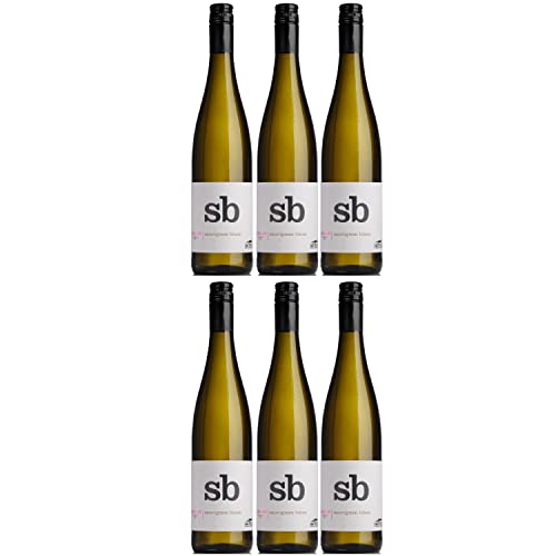 Thomas Hensel Aufwind Sauvignon Blanc Weißwein Wein Trocken Pfalz Deutschland I Visando Paket (6 x 0,75l) von Thomas Hensel