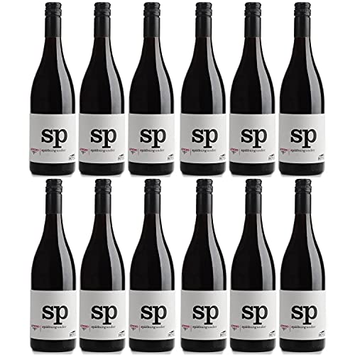 Thomas Hensel Aufwind Spätburgunder Rotwein Wein trocken Pfalz Deutschland (12 Flaschen) von Thomas Hensel