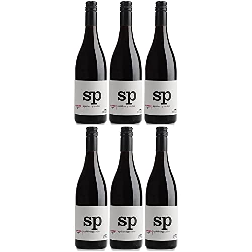 Thomas Hensel Aufwind Spätburgunder Rotwein Wein trocken Pfalz Deutschland (6 Flaschen) von Thomas Hensel