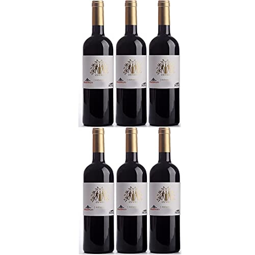 Thomas Hensel Höhenflug Rotwein Cuvée Wein trocken Pfalz Deutschland I Visando Paket (6 Flaschen) von Thomas Hensel