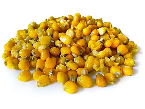 Tigernuessekaufen.de Mais Gelb Angelfertig 5KG | Karpfen Futter Tigernuessekaufen.de Mais Gelb Angelfertig 5KG | Karpfen Futter von Tigernuessekaufen.de