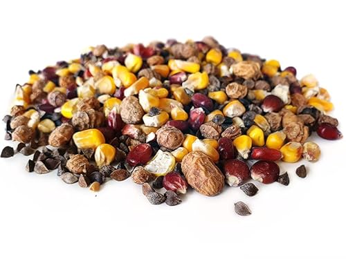 Tigernuessekaufen.de Platina Partikel Mix 20KG | Karpfen Futter Tigernuessekaufen.de Platina Partikel Mix 20KG | Karpfen Futter von Tijgernotenkopen.nl