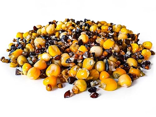 Tigernuessekaufen.de Ultimate Partikel Mix Angelfertig 20KG | Karpfen Futter Tigernuessekaufen.de Ultimate Partikel Mix Angelfertig 20KG | Karpfen Futter von Tigernuessekaufen.de