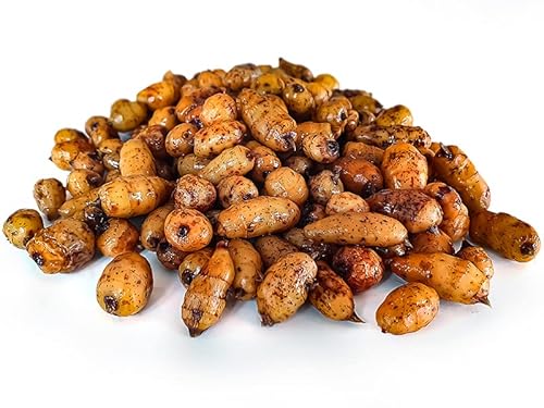 XXL Tigernüsse Angelfertig 12-35mm 5KG | Karpfen Futter XXL Tigernüsse Angelfertig 12-35mm 5KG | Karpfen Futter von Tigernuessekaufen.de