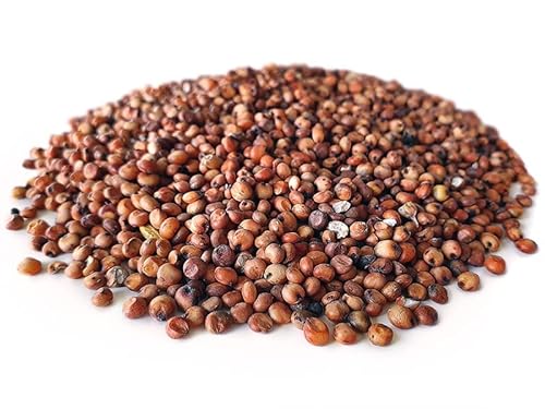 Tijgernotenkopen.nl Dari Rot 2,5KG | Karpfen Futter Tijgernotenkopen.nl Dari Rot 2,5KG | Karpfen Futter von Tijgernotenkopen.nl