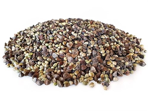 Tijgernotenkopen.nl Hanf Buchweizen Partikel Mix 2,5KG | Karpfen Futter Tijgernotenkopen.nl Hanf Buchweizen Partikel Mix 2,5KG | Karpfen Futter von Tijgernotenkopen.nl
