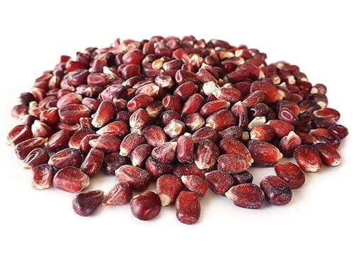 Tijgernotenkopen.nl Mais Rot 2,5KG | Karpfen Futter von Tijgernotenkopen.nl