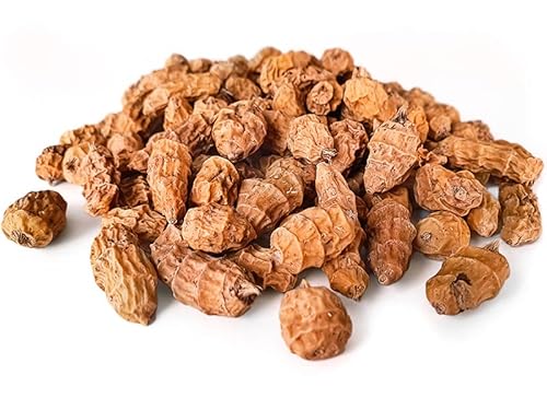 XXL Tigernüsse 12-35mm 25KG | Karpfen Futter XXL Tigernüsse 12-35mm 25KG | Karpfen Futter von Tijgernotenkopen.nl