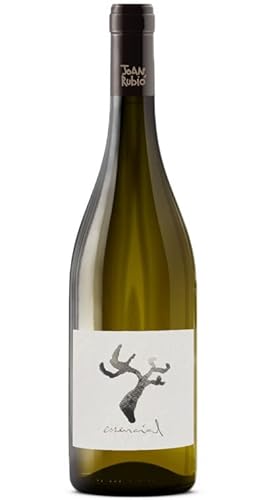 Joan Rubio Essencial 2019 | Weißwein | Katalonien – Spanien | 1 x 0,75 Liter von Tiques Vins