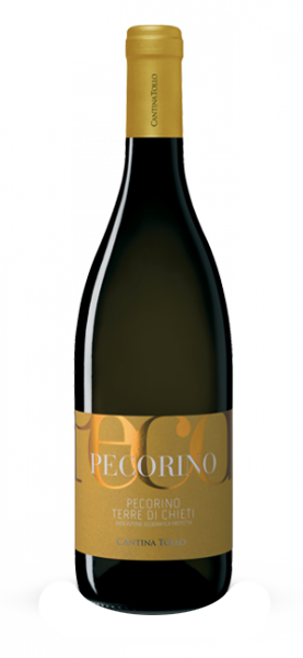 Pecorino Terre di Chieti IGP 2023 von Tollo