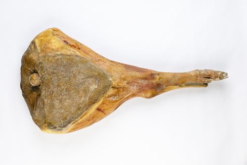 Tomassoni Italienisch ROHSCHINKEN aus halbwildem Schweinefleisch Ganze 8,5Kg, Prosciutto con osso, glutenfreiund laktosefrei, 100% Italian Artisan Product, gourmet-spezialitäten, vakuumverpackt Tomassoni Italienisch ROHSCHINKEN aus halbwildem Schweinefleisch Ganze 8,5Kg, Prosciutto con osso, glutenfreiund laktosefrei, 100% Italian Artisan Product, gourmet-spezialitäten, vakuumverpackt von Tomassoni