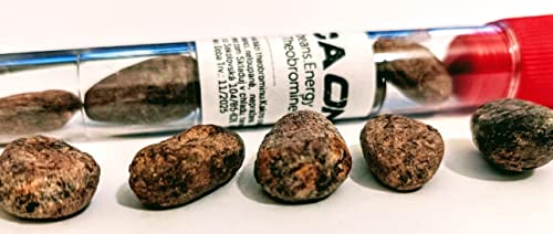 5 rohe Kakaobohnen Energie und Aufmerksamkeit. Theobromin! 5 rohe Kakaobohnen Energie und Aufmerksamkeit. Theobromin! von Tooludic
