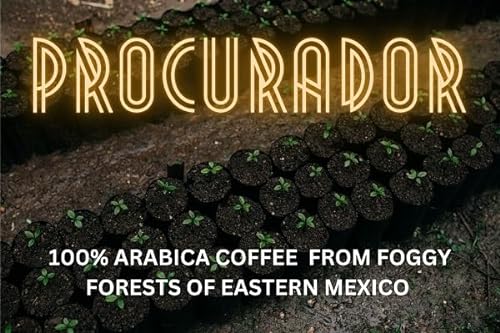 Mexikanischer Wolkenkaffee Procurador Arabica 1000g von Tooludic