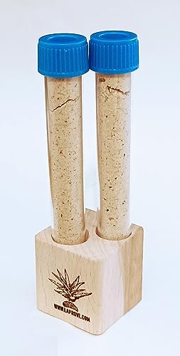 Würmer mit Salz aus Mexiko für Mezkal und Tekila 2 Ampullen 10g in Eimer. Würmer mit Salz aus Mexiko für Mezkal und Tekila 2 Ampullen 10g in Eimer. von Tooludic