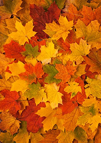 1 x A4 bedruckte Herbstblätter-Tapete, Dekoration, essbare Tortenauflage, dekoriert, perfekt für große Kuchen von Top That