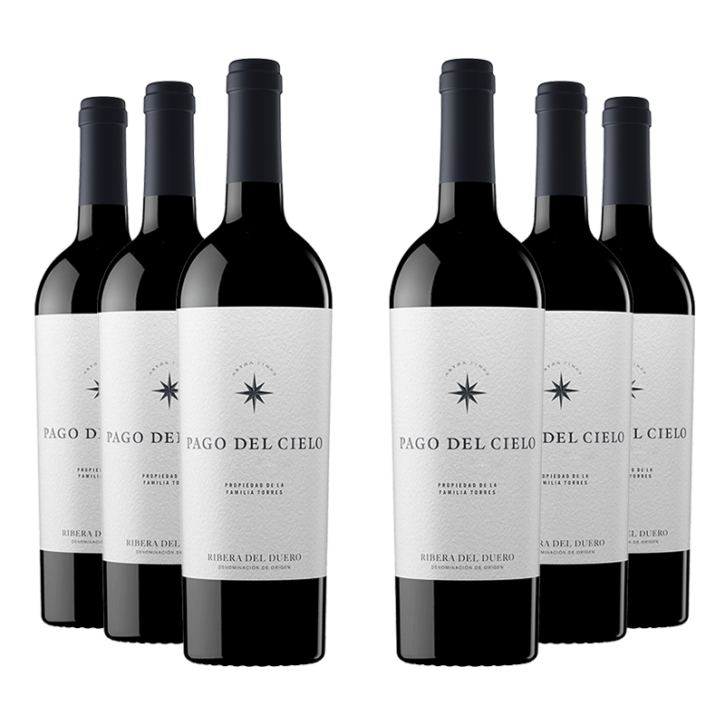 Torres : Pago Del Cielo 2019 Torres : Pago Del Cielo 2019 von Torres