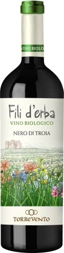 Fili d' Erba Nero di Troia Puglia IGT - Bio - 0,75l 13% - 2019 | Torrevento von Torrevento