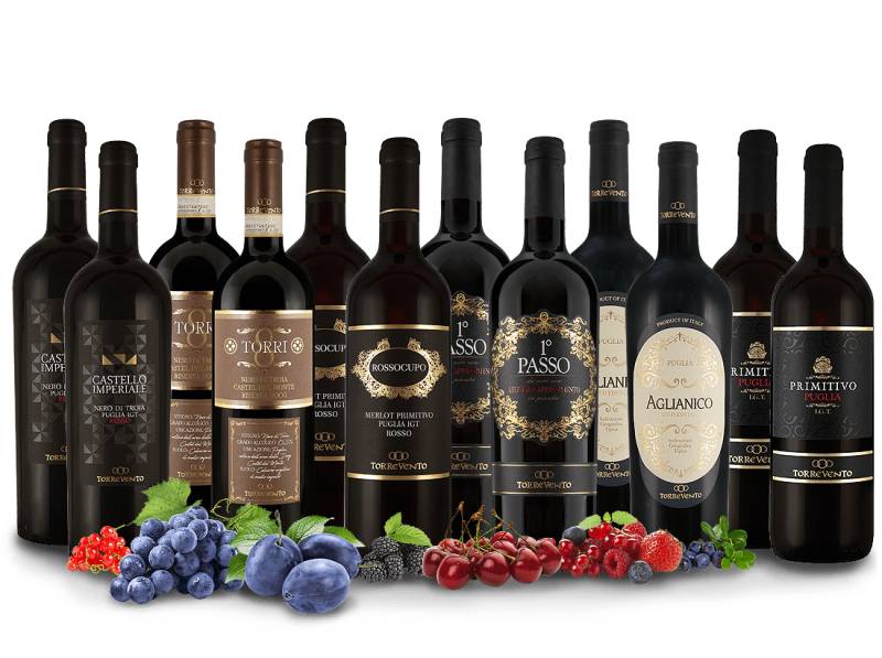 Probierpaket XL Die besten Rotweine von Torrevento von Torrevento