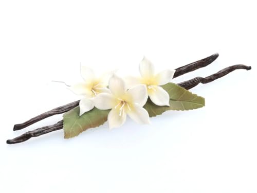 Gourmet Vanille Schote Gourmet Vanille Schote von Tortendekoshop