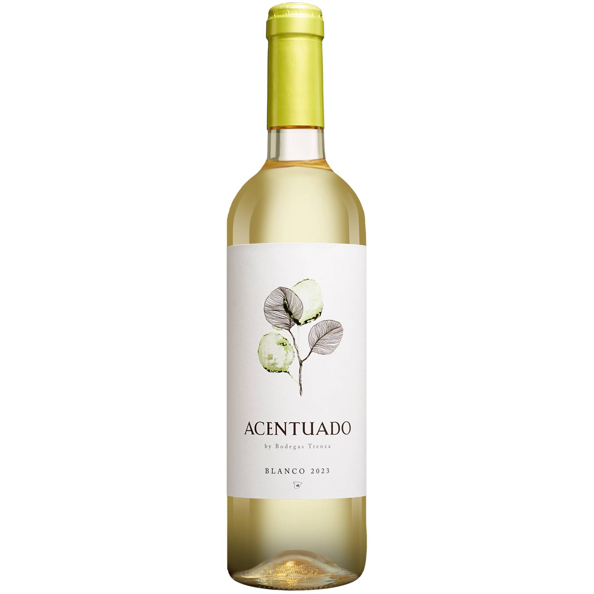 Acentuado Blanco 2023  0.75L 12% Vol. Weißwein Trocken aus Spanien von Trenza