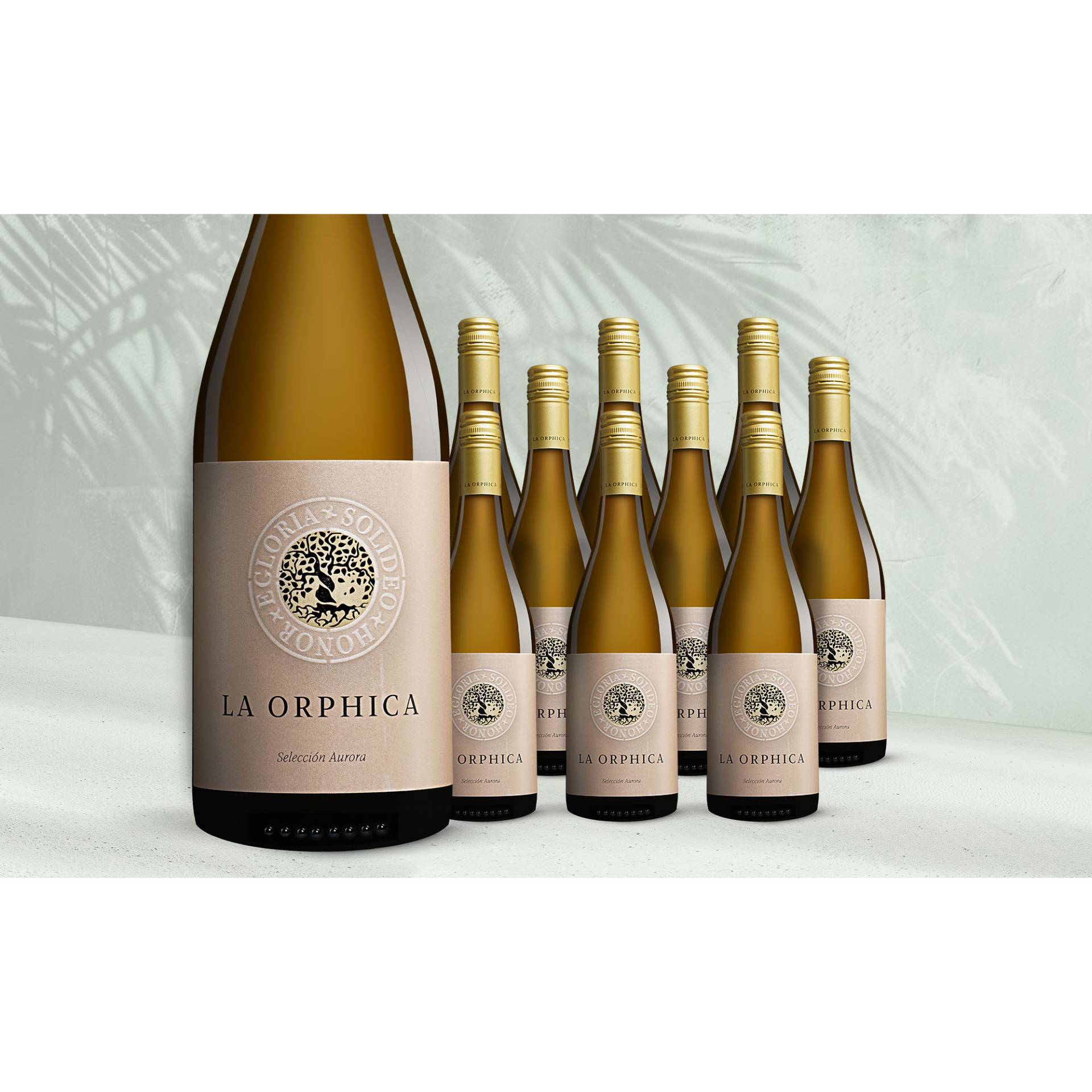 La Orphica Selección Aurora Blanco 2024 7.5L 12.5% Vol. Weinpaket aus Spanien La Orphica Selección Aurora Blanco 2024 7.5L 12.5% Vol. Weinpaket aus Spanien von Trenza
