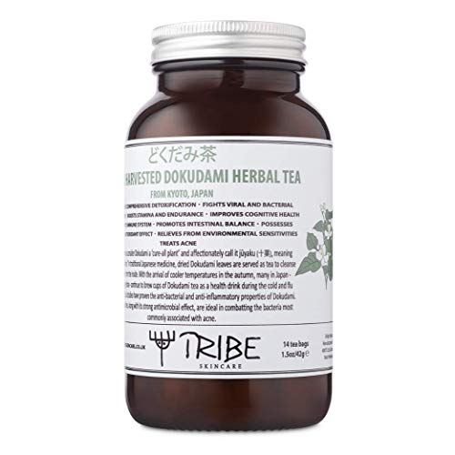 Tribe Skincare Wild geernteter Dokudami-Kräutertee aus Kyoto, Japan von Tribe Skincare