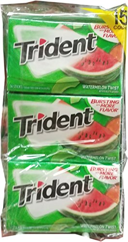 Trident Watermelon TW Bubble Gum, 0,5 kg von Trident