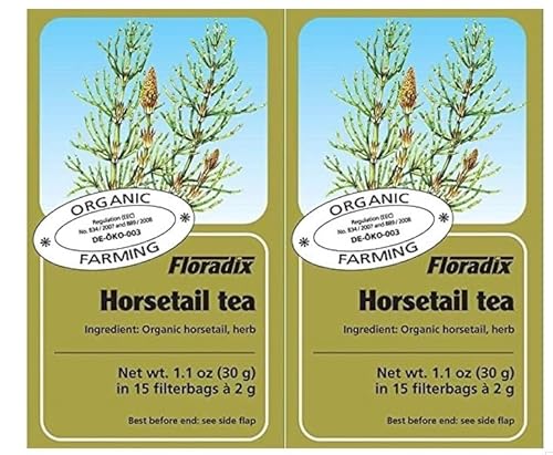Tudor Floradix Bio Schachtelhalm Kräutertee 15 Beutel 2 Stück von Tudor