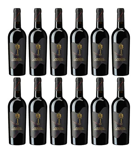 Due Palme Primitivo di Manduria DOP 1-983 ANDRONACO (12 x 0,75 l) von Ubi est concordia, victoria| est 1 983