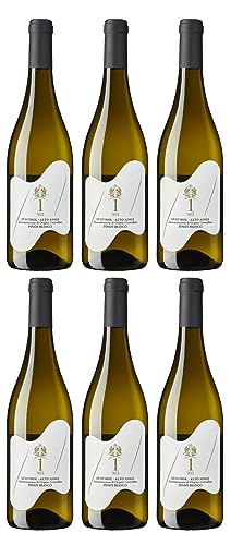 Tramin Pinot Bianco D.O.C. 2022 | 1-983 ANDRONACO (6 x 0,75 l) von Ubi est concordia, victoria| est 1 983