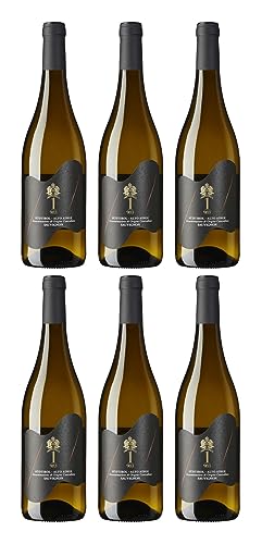 Tramin Sauvignon D.O.C. 2022 | 1-983 ANDRONACO (6 x 0,75 l) von Ubi est concordia, victoria| est 1 983