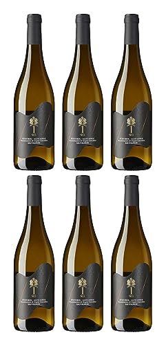 Tramin Sauvignon D.O.C. 2023 | 1-983 ANDRONACO (6 x 0,75 l) von Ubi est concordia, victoria| est 1 983