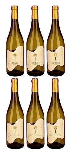 Umani Ronchi Pecorino Terre di Chieti IGT 2023 | 1-983 ANDRONACO (6 x 0,75 l) von Ubi est concordia, victoria| est 1 983
