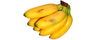 Baby-Bananen Baby-Bananen von Uganda