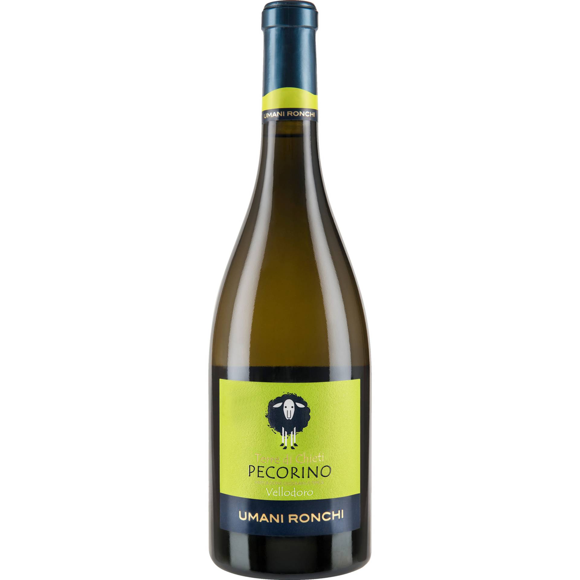 Vellodoro Pecorino, Terre di Chieti IGT, Abruzzen, 2022, Weißwein von Umani Ronchi , S.S. 16 KM 310 + 400, N.74 , 66027 Osimo, Italy