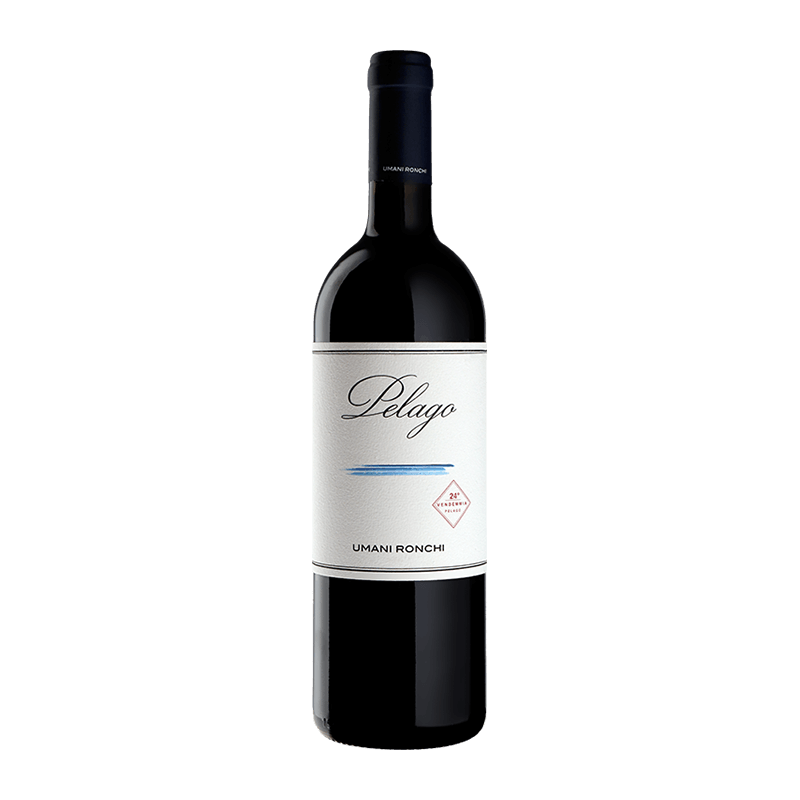 Umani Ronchi : Pelago 2019 Umani Ronchi : Pelago 2019 von Umani Ronchi