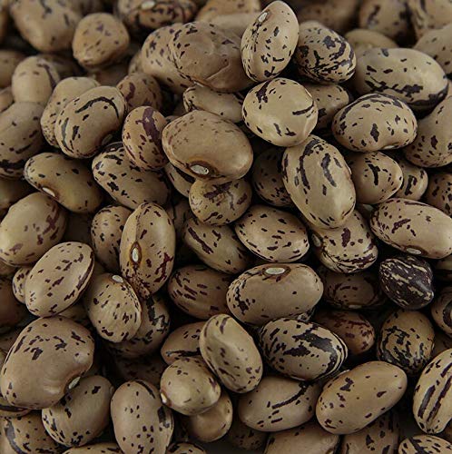 Bohnen, Borlotti - Wachtelbohnen, klein, getrocknet, 500g Bohnen, Borlotti - Wachtelbohnen, klein, getrocknet, 500g von Unbekannt