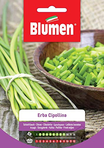 Hypollengras Hypollengras von Blumen