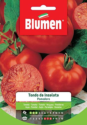 Salat-Tomate, rund Salat-Tomate, rund von Blumen
