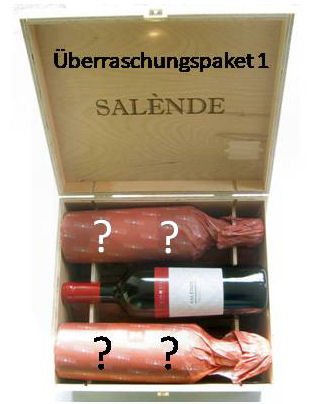 Überraschungspaket 1 mit 6 Flaschen aus der ganzen Welt in Original-Holzkiste (Vinosia) zum Vorzugspreis von Unbekannt